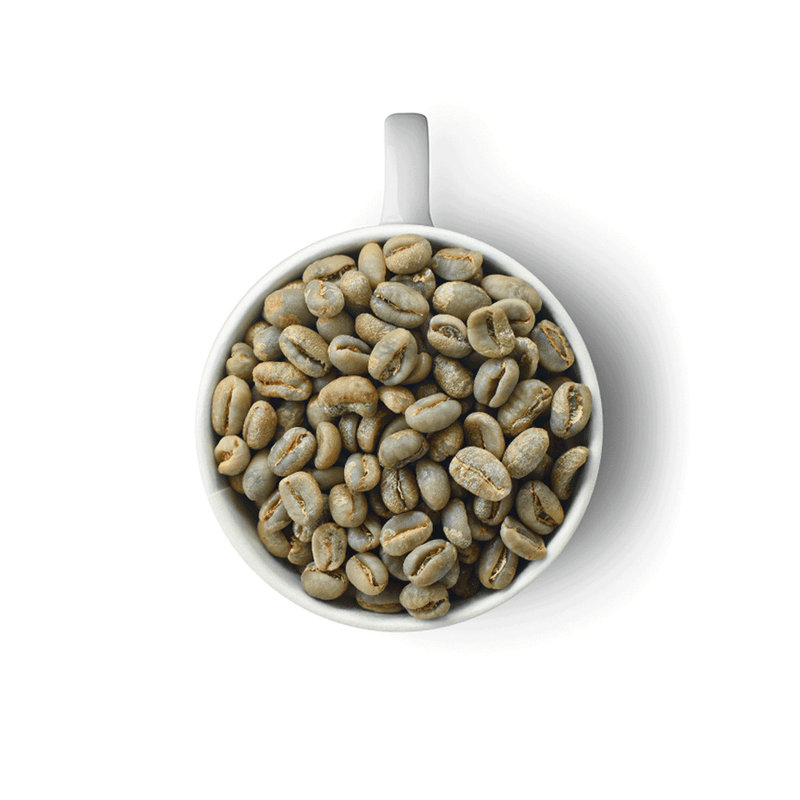 Café Verde a Granel. Calidad Caracol. 69 kg.
