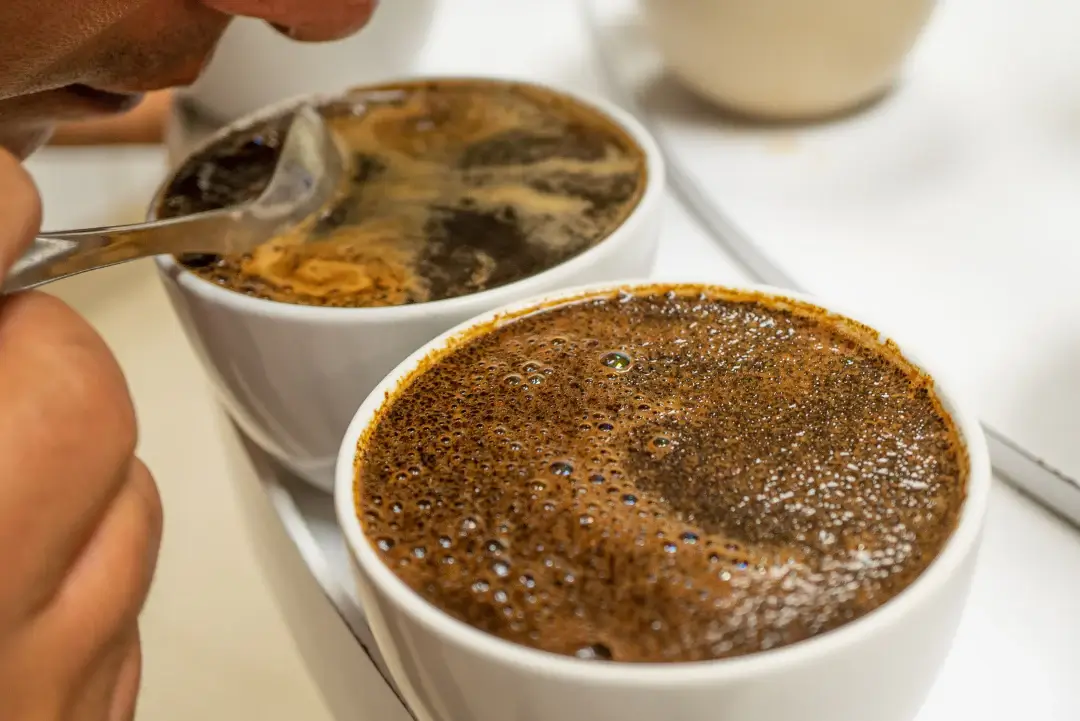 Main image: discovering the art of coffee cupping, a beginner's guide