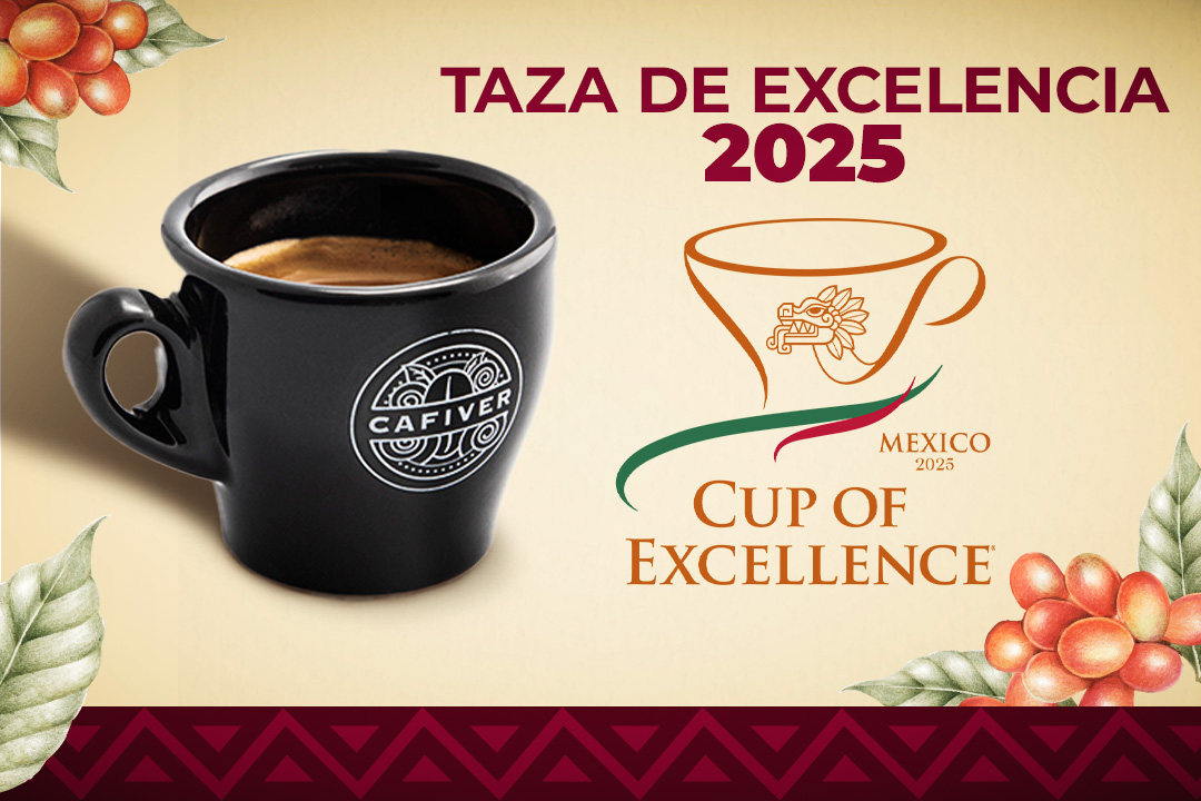Imagen principal: cafiver presente en el prestigioso jurado nacional de la taza de excelencia mexico 2025