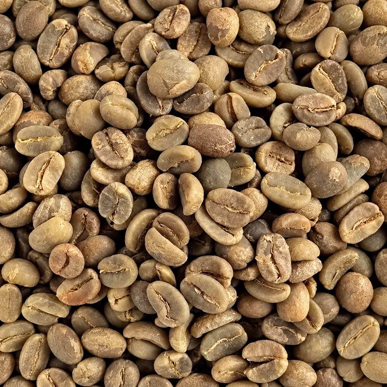 Granos de café para la tarjeta Café Descafeinado