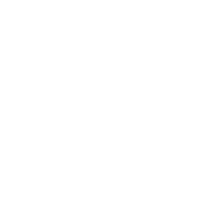 Hecho en Veracruz