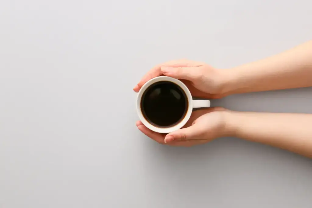 Conocimientos básicos sobre el café: El café un viaje sin fin