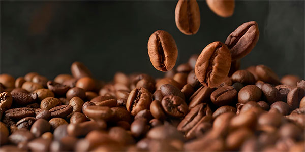 Arabica