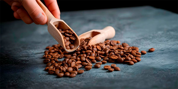 Mandailing Arabica